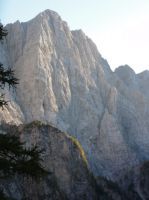 Klik za večjo sliko