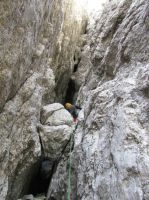 Klik za večjo sliko