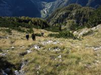 Klik za večjo sliko