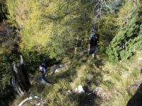 Klik za večjo sliko