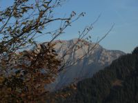 Klik za večjo sliko