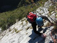 Klik za večjo sliko