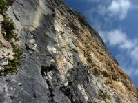 Klik za večjo sliko