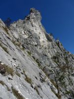 Klik za večjo sliko