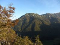 Klik za večjo sliko