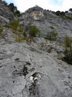 Klik za večjo sliko