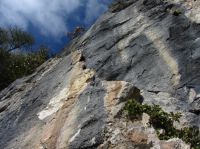 Klik za večjo sliko