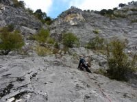 Klik za večjo sliko