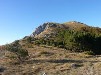 Klik za večjo sliko