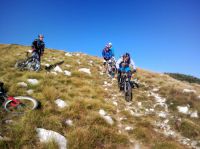 Klik za večjo sliko