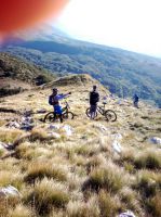 Klik za večjo sliko