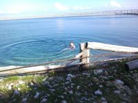 Klik za večjo sliko