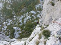 Klik za večjo sliko