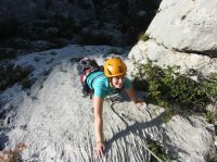 Klik za večjo sliko