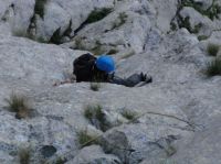 Klik za večjo sliko