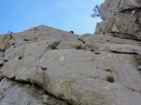 Klik za večjo sliko