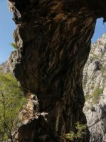 Klik za večjo sliko