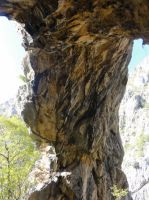 Klik za večjo sliko