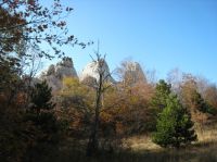 Klik za večjo sliko