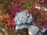 Klik za večjo sliko