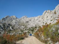 Klik za večjo sliko