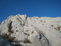 Klik za večjo sliko