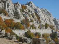 Klik za večjo sliko