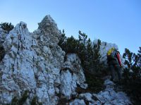 Klik za večjo sliko