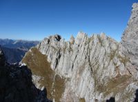 Klik za večjo sliko