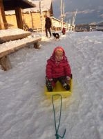 Klik za večjo sliko