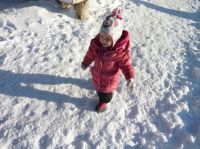 Klik za večjo sliko