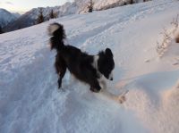 Klik za večjo sliko