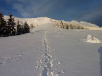 Klik za večjo sliko