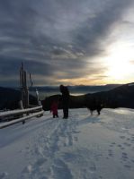 Klik za večjo sliko