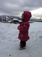 Klik za večjo sliko