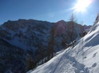 Klik za večjo sliko