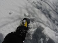 Klik za večjo sliko