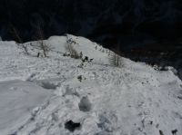 Klik za večjo sliko