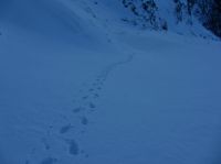 Klik za večjo sliko