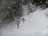 Klik za večjo sliko