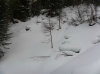 Klik za večjo sliko