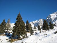 Klik za večjo sliko