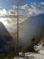 Klik za večjo sliko