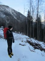 Klik za večjo sliko