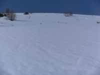 Klik za večjo sliko