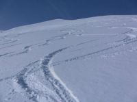 Klik za večjo sliko