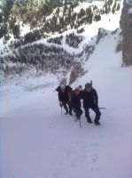 Klik za večjo sliko