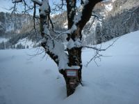 Klik za večjo sliko