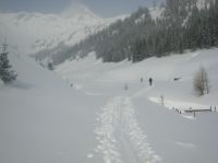 Klik za večjo sliko