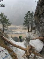 Klik za večjo sliko